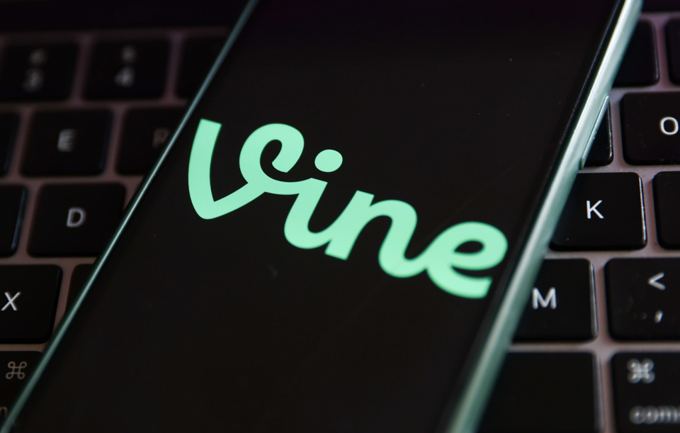 Vine