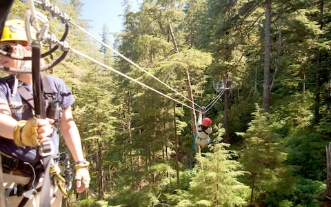 Zip wire, Alaska - Credit: iStock