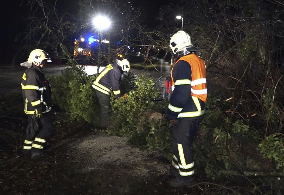 A firefighter disassembles a fallen tree due to a storm in Beelitz, Germany Friday, Dec. 22, 2023. (Cevin Dettlaff/dpa via AP)
