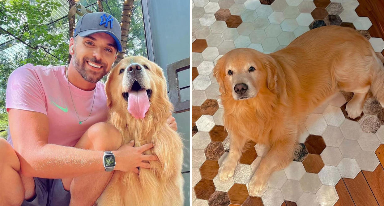 João Fantazzini with his Golden Retriever Joca (left) with Joca on his own (right). 