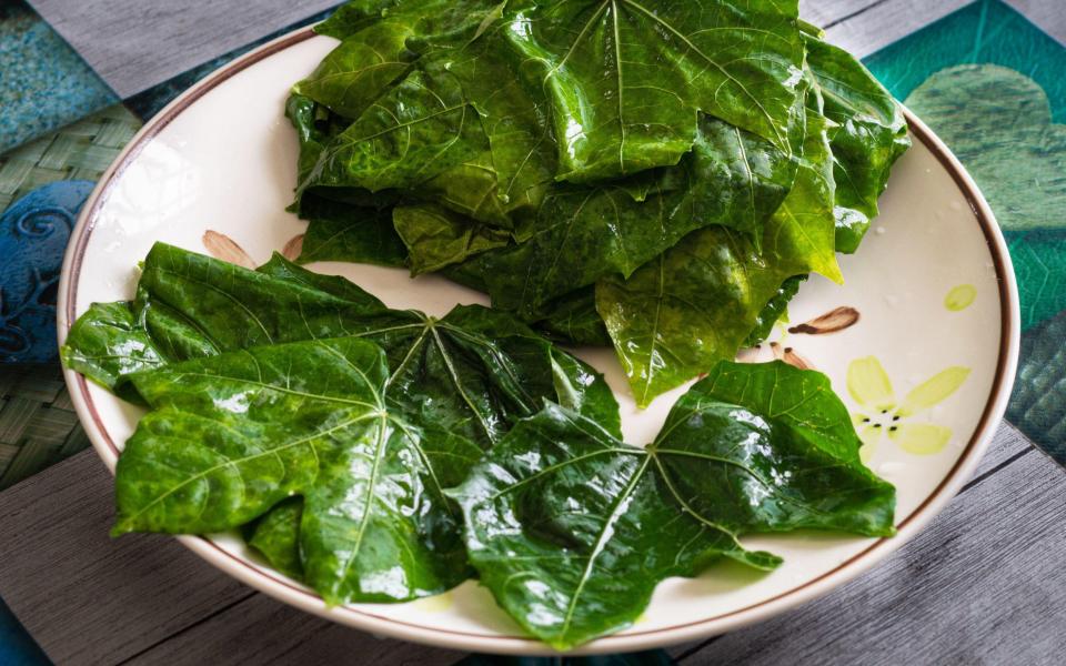 Chaya leaves, tree spinach ready to be cooked. - Adriana Rosas / Alamy