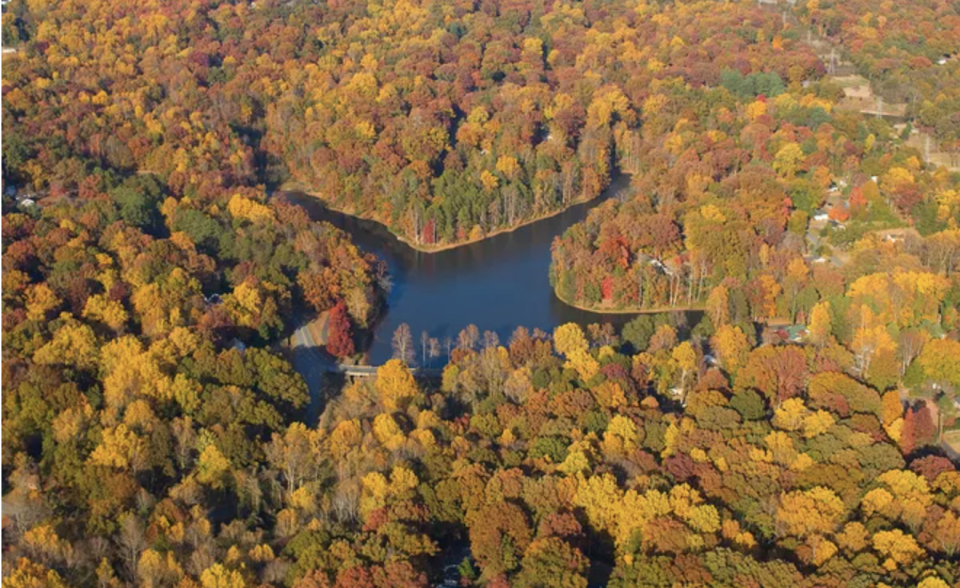 Aerial view of Duncan Park including lake.