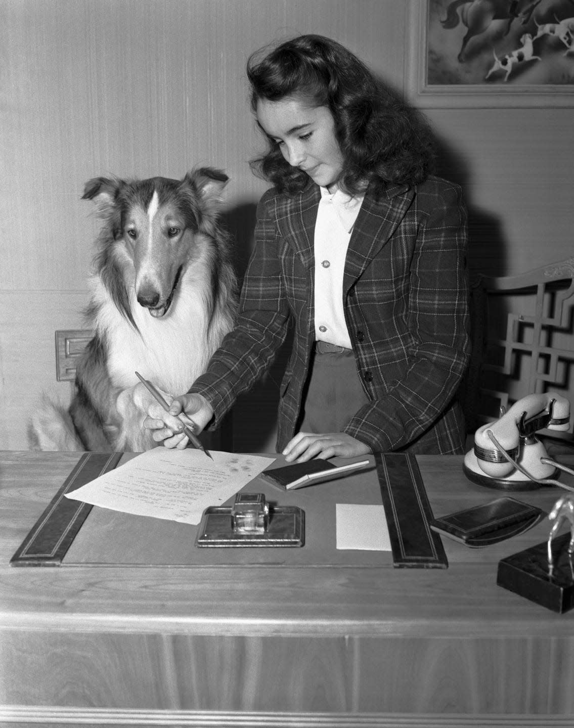 elizabeth taylor and lassie