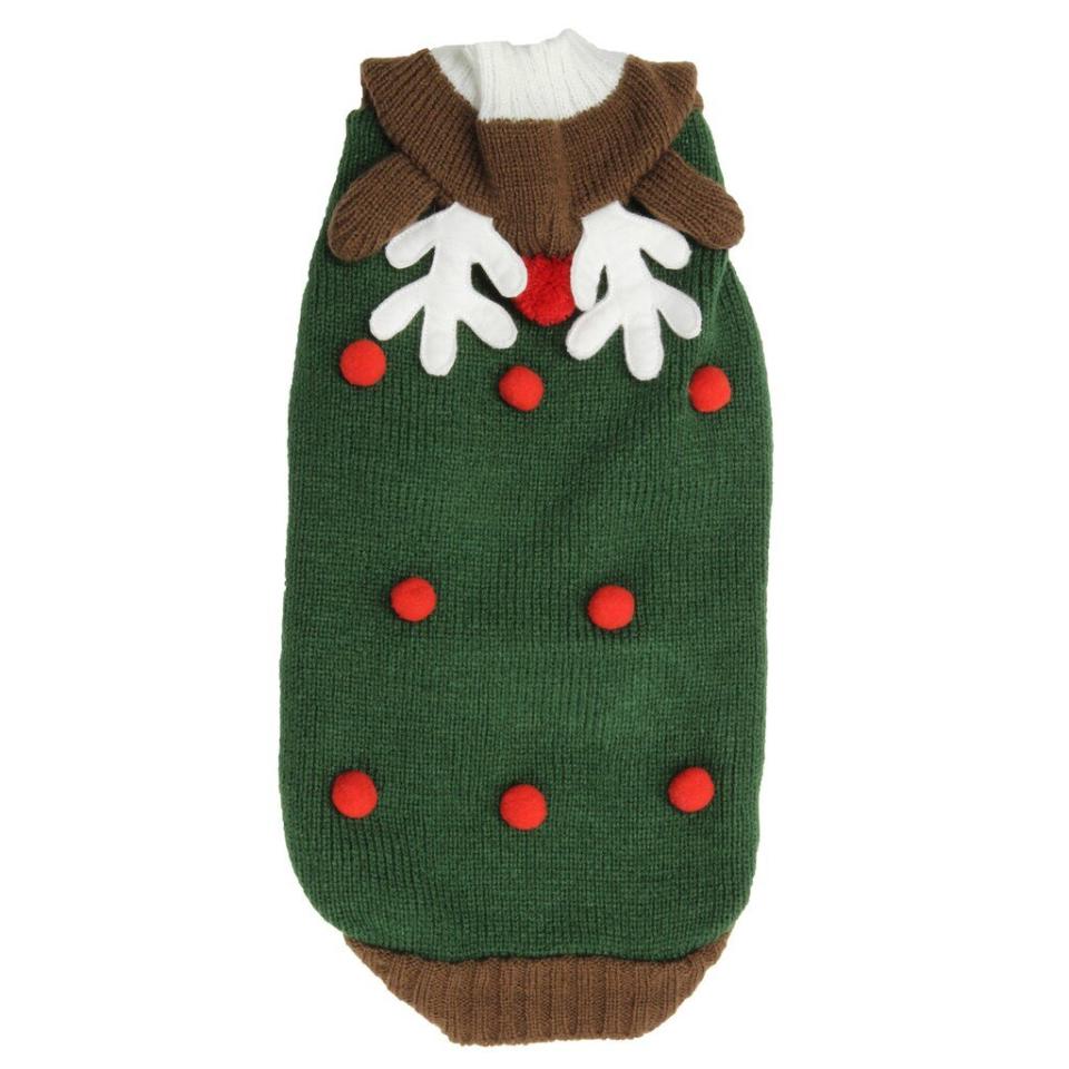 ED Ellen Degeneres Pet Sweater