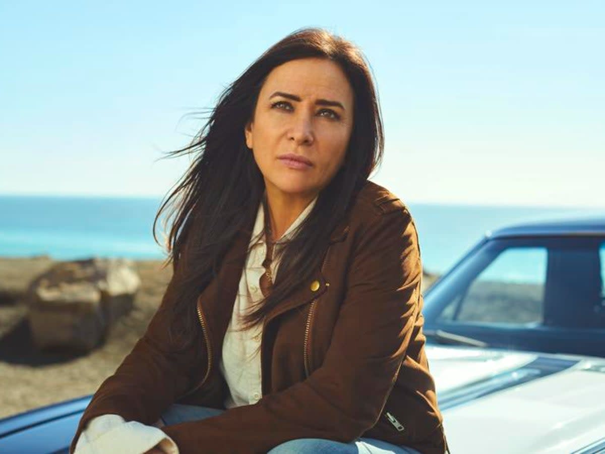 Pamela Adlon: 'I always say that FX was paying for my therapy’ (Pamela Littky/FX)