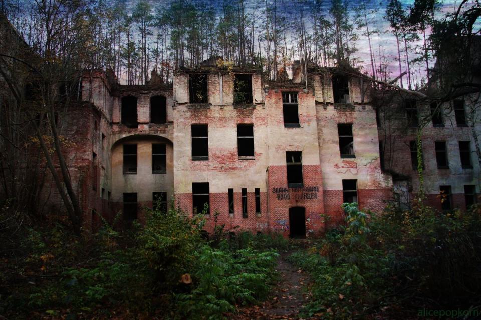 <p>Nature has started to reclaim this former hospital.</p><p>Photo: Flickr/<a href="https://www.flickr.com/photos/alicepopkorn/4084488998/in/photolist-7dW5h7-8qZ6rt-fqzcbV-kuKvQv-Sa6tGw-djWe8S-jV4x6T-24Saw9W-8u6cgf-9ey3WW-doYQgu-TkJypS-gzqcEG-gGrbbY-ibDLbi-noKpsV-7hF9y4-DNbmGA-nMdsek-27mxi1E-25oqh1J-br9CNc-26bWhwv-c54Cjs-829ktU-e3LDKW-RrsZ5e-3bFTKQ-4zxxN5-7UV78w-fBUKX2-e8CuRU-e2UNZD-aYgajF-dF6Guj-amR2DJ-9Lk8H5-hC4mAf-eSJ5pu-9tRMDR-hCBAjR-4ksKjg-cueyoj-9SDHe9-q8zMKm-q4ph2u-6e9CEf-3bFSpG-8uCKaH-wVbTVv" rel="nofollow noopener" target="_blank" data-ylk="slk:Alice Popkorn;elm:context_link;itc:0;sec:content-canvas" class="link ">Alice Popkorn</a></p>