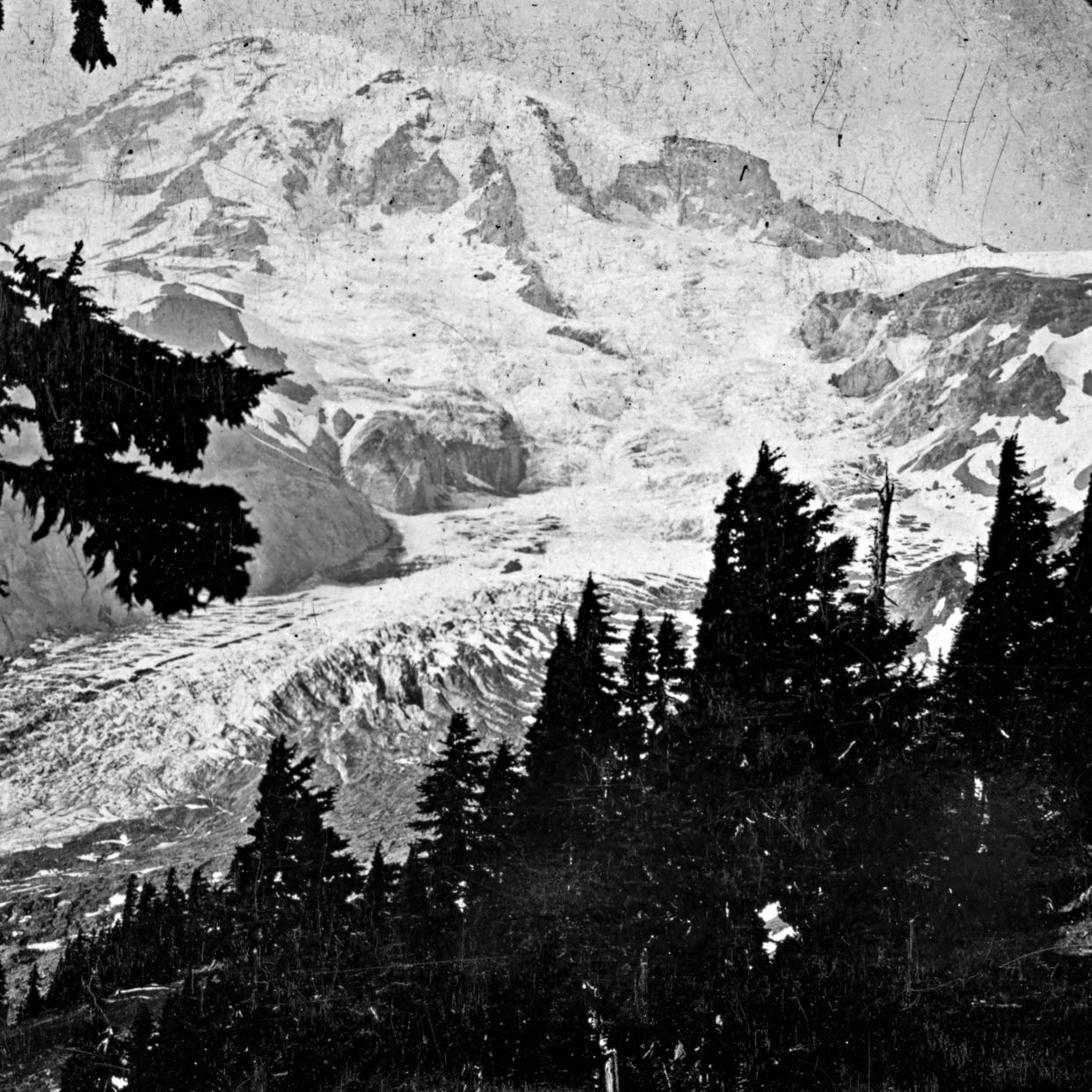 Una foto proporcionada por la Biblioteca del Congreso muestra el monte Rainier cuando el hielo era grueso y robusto, a lo largo de la ladera de la montaña. (Biblioteca del Congreso vía The New York Times)
