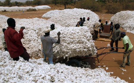 Farmers work at a cotton market in Soungalodaga village near Bobo-Dioulasso, Burkina Faso March 8, 2017. REUTERS/Luc Gnago