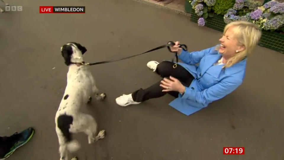 Carol Kirkwood laughing on the ground at Wimbledon holding a dog's lead
