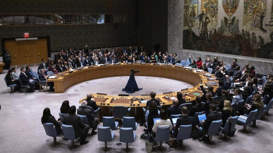 the UN Security Council 