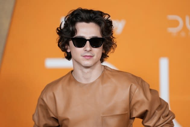 Timothée Chalamet - Credit: John Nacion/Getty Images