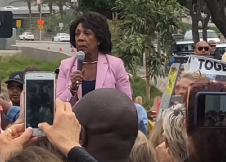 Americans should confront Trump cabinet members every time they step out in public, says congresswoman Maxine Waters