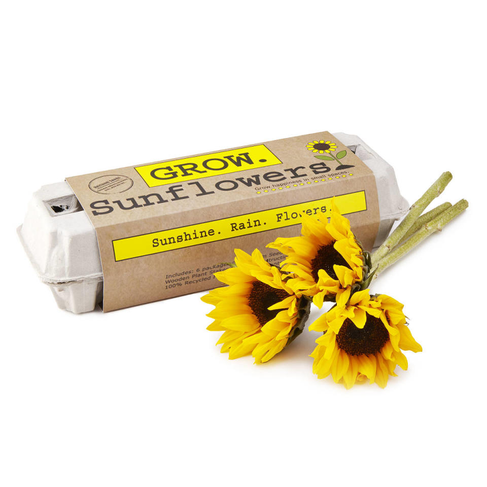 <p><a href="https://go.redirectingat.com?id=74968X1596630&url=https%3A%2F%2Fwww.uncommongoods.com%2Fproduct%2Fsunflower-garden-grow-kit&sref=https%3A%2F%2Fwww.thepioneerwoman.com%2Fholidays-celebrations%2Fg39111501%2Fbest-passover-gifts%2F" rel="nofollow noopener" target="_blank" data-ylk="slk:Shop Now;elm:context_link;itc:0;sec:content-canvas" class="link ">Shop Now</a></p><p>Sunflower Garden Grow Kit</p><p>uncommongoods.com</p><p>$12.00</p><span class="copyright">Uncommon Goods</span>