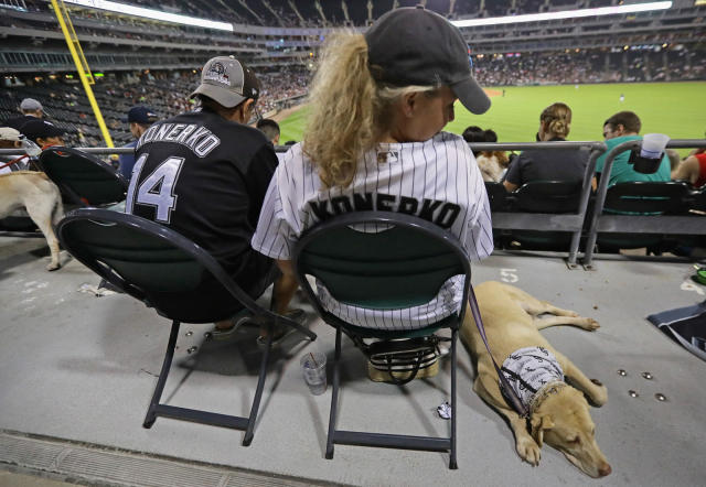 Chicago White Sox Draw 1,122 Dogs in Win Over Indians