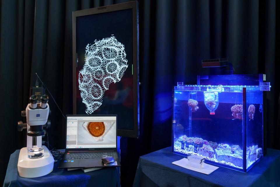 The workstation pictured above, developed by Delta Electronics, allows biologists to examine living coral, which is visible on the laptop and study its calcium carbonate skeleton, which is displayed on the viewscreen above the laptop.