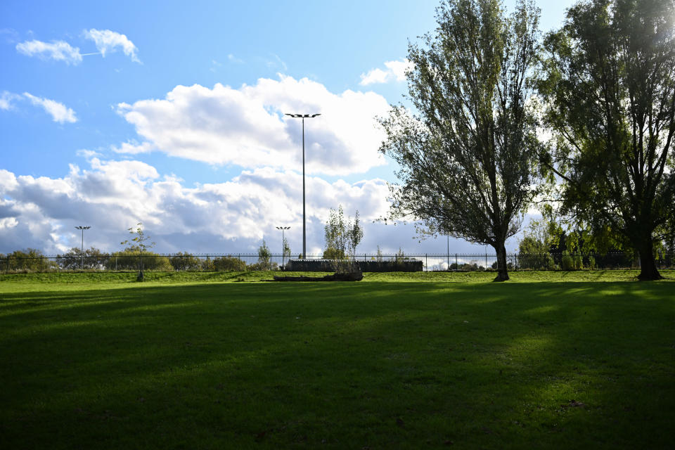 Park on a sunny day with green grass and blue sky