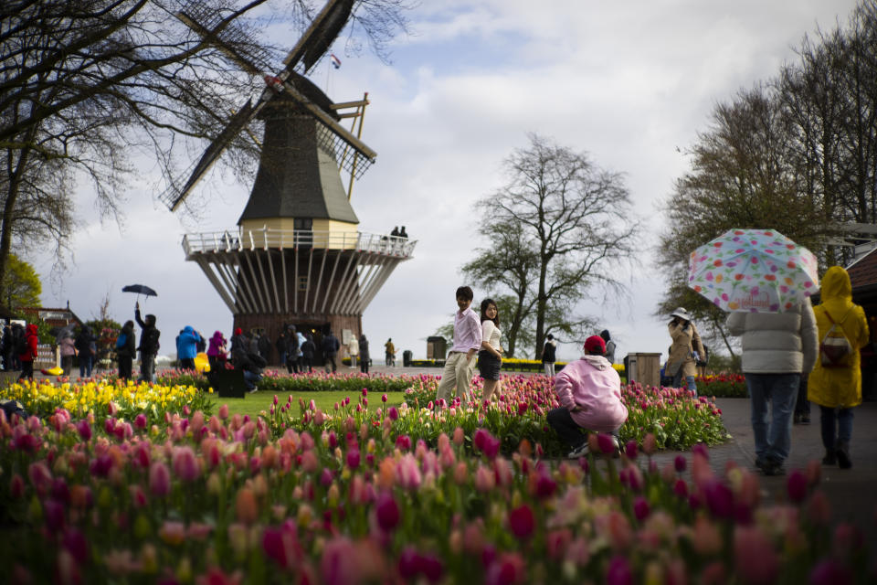 Tourists pose for pictures at the world-renowned Dutch flower garden and showcase, the Keukenhof in Lisse, Netherlands, Thursday, April 13, 2023. More than a million people visited the Keukenhof in 2022. Rain or shine, there is no way to keep budding flowers down. And from the world-famous Keukenhof in the Netherlands to the magical bluebell Hallerbos forest in Belgium, they are out there again, almost in cue to enthrall, enthuse and soothe the mind. All despite the cold and miserable early spring in this part of Western Europe. (AP Photo/Peter Dejong)