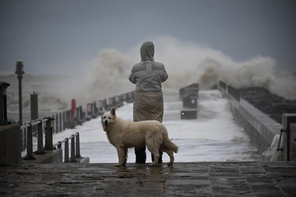 A woman stands with her dog in Dorset as the storm rages (Getty)
