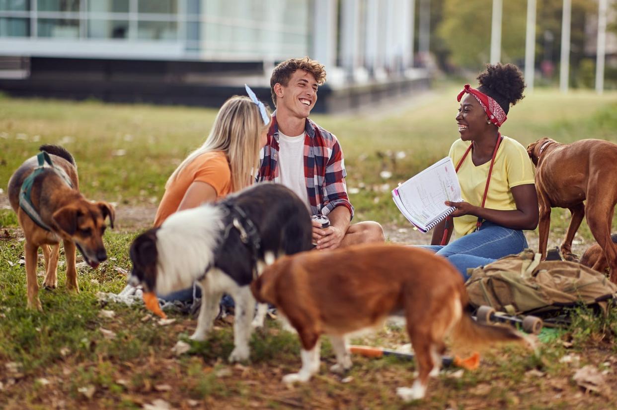 <span class="caption">In post-secondary settings, dogs improve the emotional wellbeing of students.</span> <span class="attribution"><span class="source">(Shutterstock)</span></span>