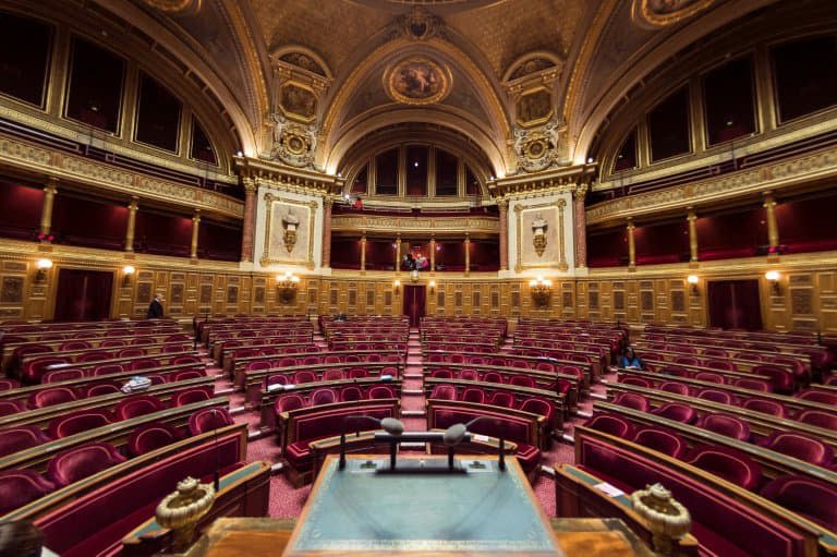 L'hémicycle du Sénat à Paris - LIONEL BONAVENTURE © 2019 AFP