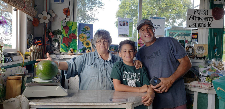 This Dec. 13, 2018 photo provided by Juliane Pokini shows the first weigh in at Kula Country Farms showing employee Meridyth Sealey, left, with Lo'ihi Pokini and his father Mark Pokini in their kitchen at Kula Country Farms in Kula, Hawaii. The Pokini family from the island of Maui received the Guinness certificate this week for the avocado weighing 5.6 pounds (2.54 kilograms), The Maui News reported Thursday, Oct. 11, 2019. (Juliane Pokini via AP)