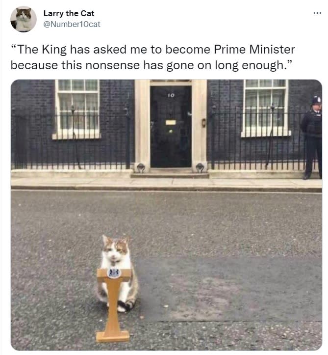 英國第一貓賴瑞在推特上表示「國王要我當首相，因為這種胡說八道已經夠久了」，狠酸英國首相任期很短命。   圖：翻攝自Larry the Cat推特