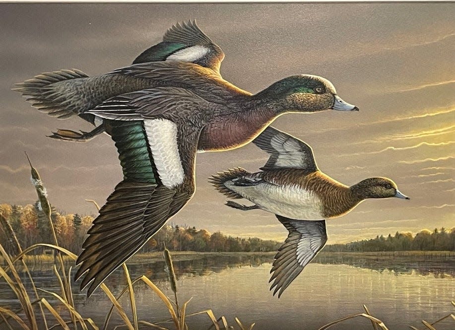 Sam Timm’s painting of an American wigeon pair was selected as the winner of the Ohio Wetlands Habitat Stamp Design Competition.