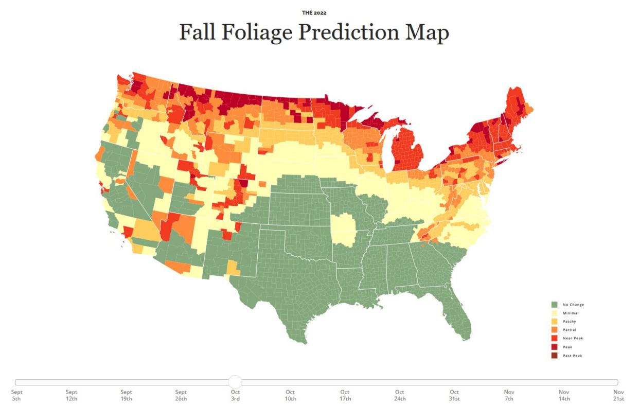 Fall Foliage Prediction Map