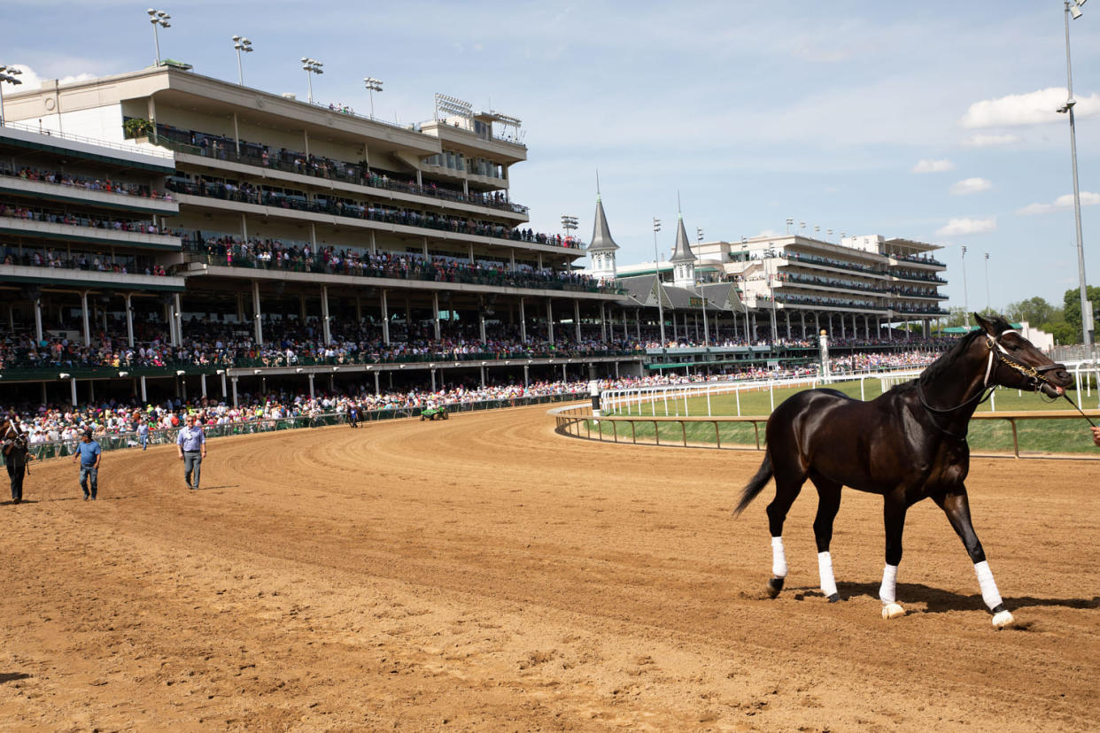 A horse is led down the track at Churchill Downs.