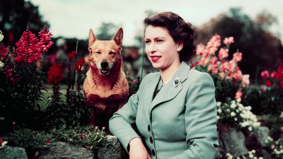 The Queen and her extended family, the Corgis