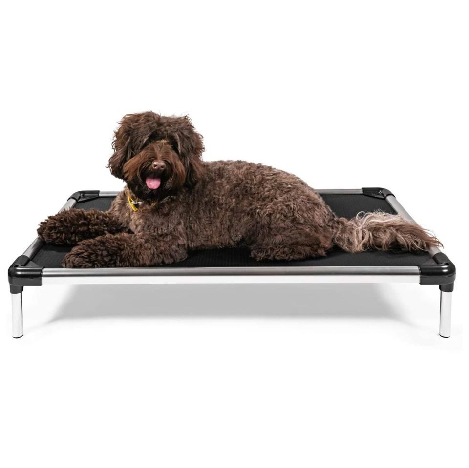 K9 Ballistics Chew-Proof Elevated Dog Bed