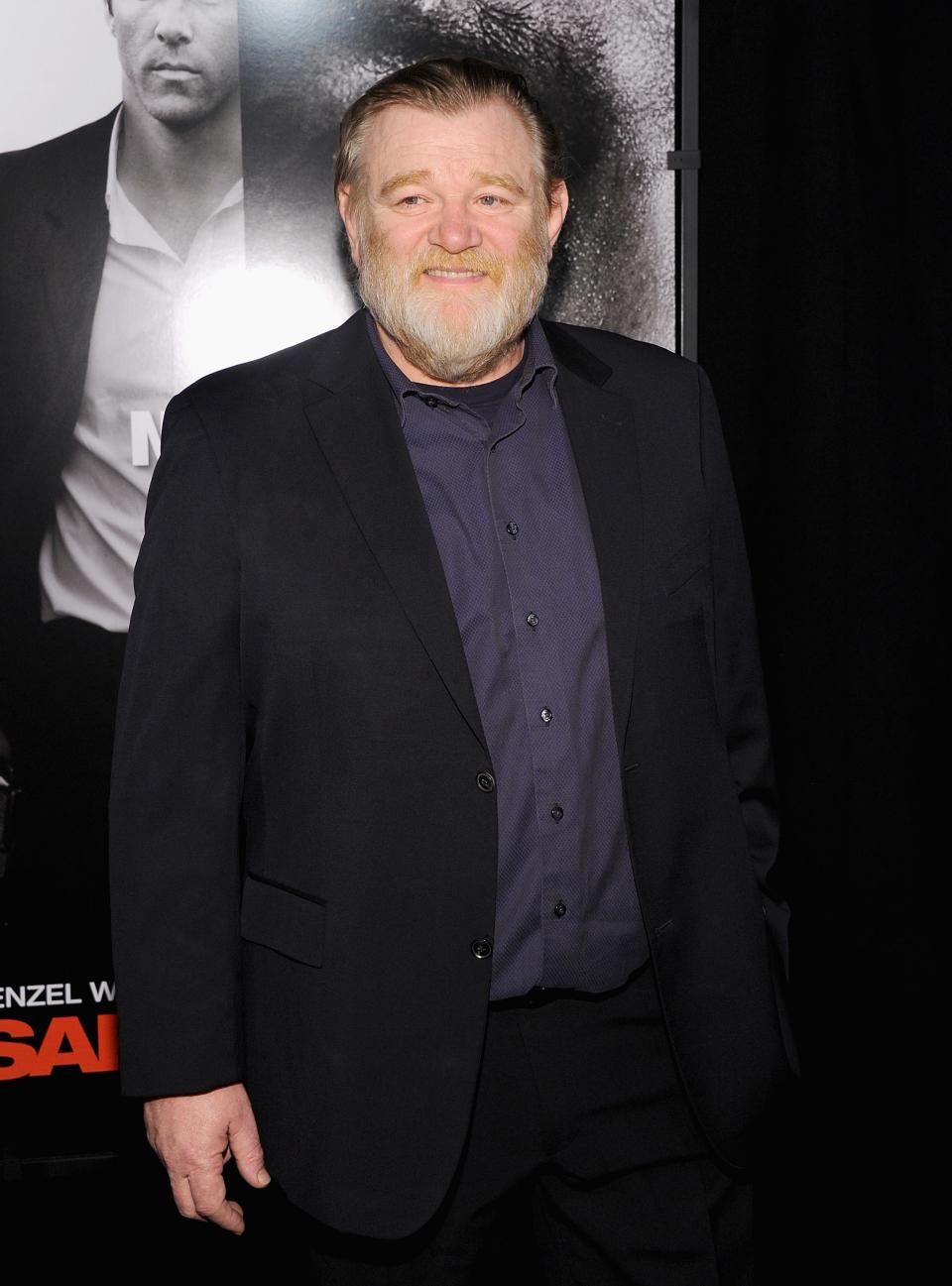 Brendan Gleeson attends the "Safe House" premiere at the SVA Theater on February 7, 2012 in New York City.