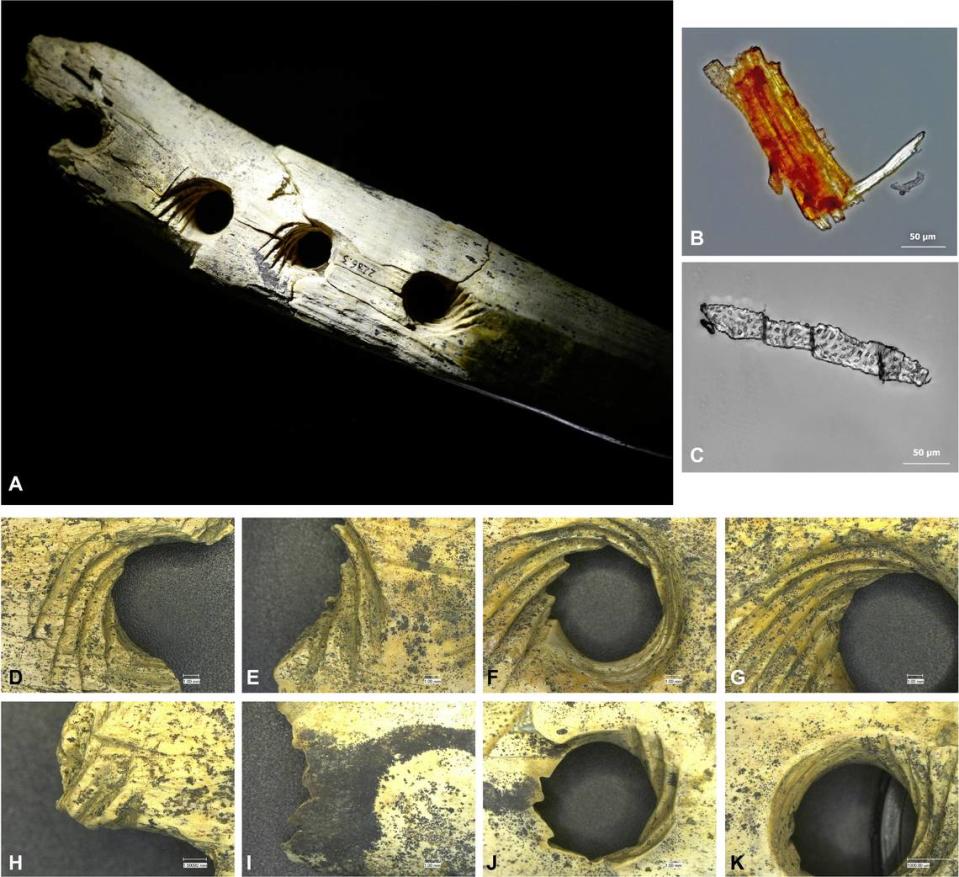 Several close-up views of the ivory artifact (A), the spiral hole carvings (D to K) and plant matter found on the tool (B and C).