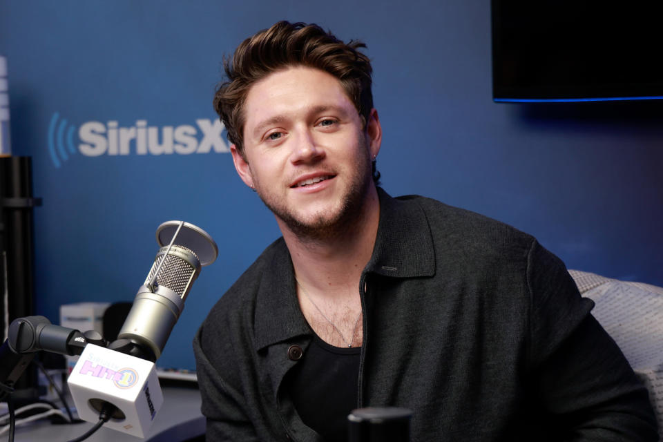 celeb beauty hacks niall horan