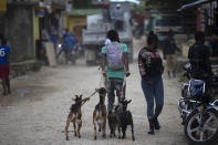 A man takes his goats to the market to sell, in the Kenscoff neighborhood of Port-au-Prince, Haiti, Friday, June 24, 2022.(AP Photo/Odelyn Joseph)