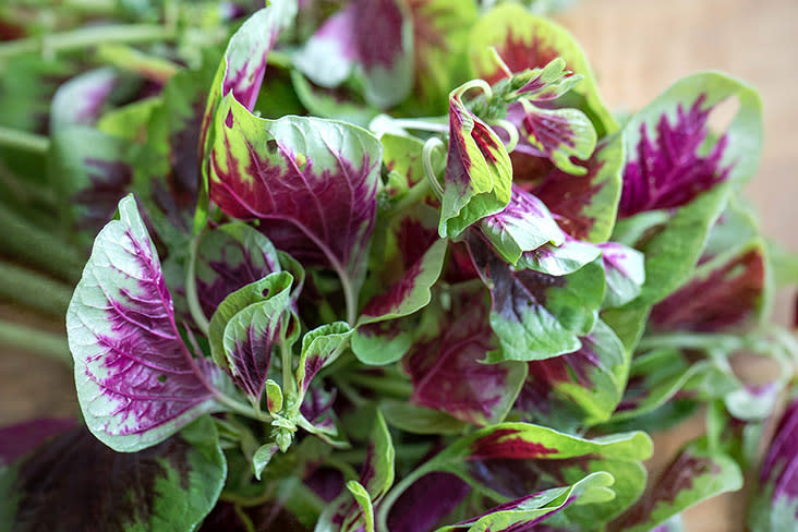 Chinese spinach (or 'yin choy' in Cantonese) isn’t a true spinach but a type of amaranth.