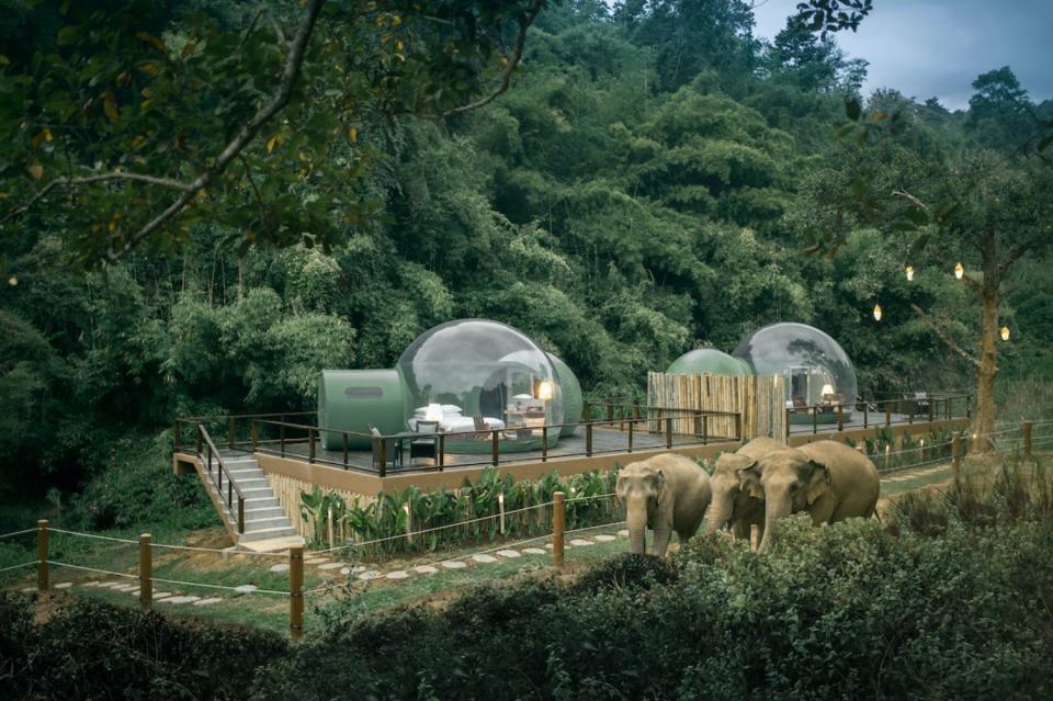 En la imagen, las Jungle Bubbles, las suites del complejo tailandés Anantara Golden Triangle Elephant Camp & Resort que permiten a sus huéspedes pasar la noche rodeados de elefantes. (Foto: <a href="http://www.anantara.com/en/golden-triangle-chiang-rai/experiences/jungle-bubbles" rel="nofollow noopener" target="_blank" data-ylk="slk:Anantara Golden Triangle Elephant Camp & Resort;elm:context_link;itc:0;sec:content-canvas" class="link ">Anantara Golden Triangle Elephant Camp & Resort</a>).