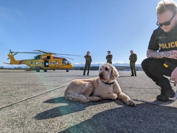 Canadian Armed Forces