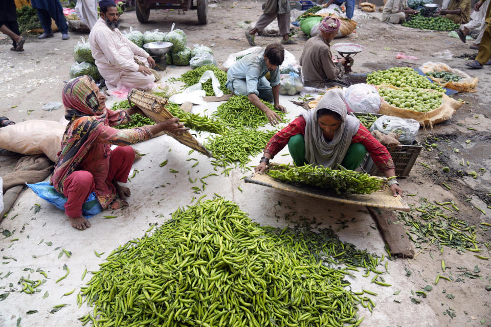 Pakistani women sort green chili at a vegetable market in Lahore, Pakistan, Wednesday, June. 12, 2024. (AP Photo/K.M. Chaudary)