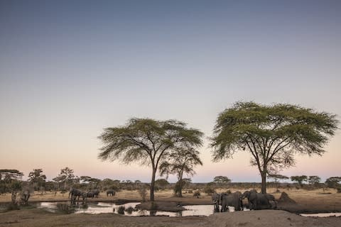 Combine wildlife with battlefield tours - Credit: 2630ben - Fotolia