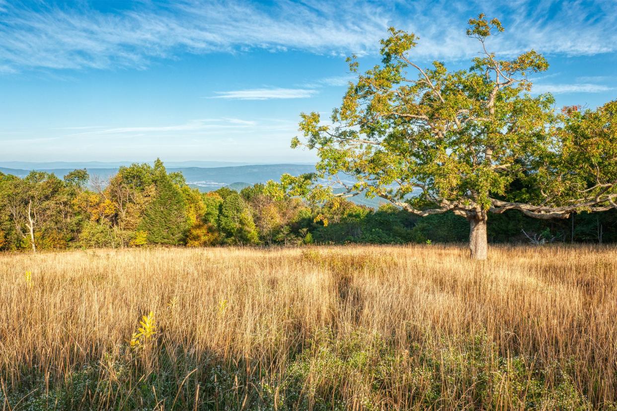 Shenandoah National Park