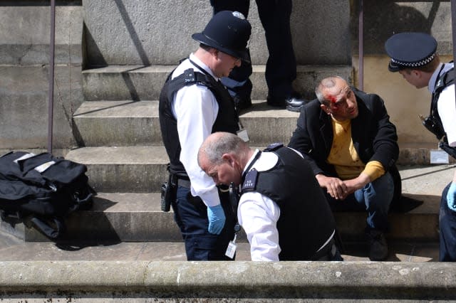 Tourist falls off Westminster Bridge 'while taking photos'