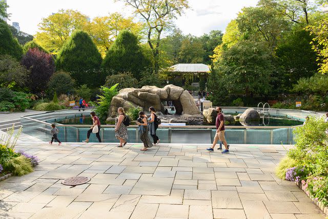 <p>Noam Galai/Getty</p> Central Park Zoo