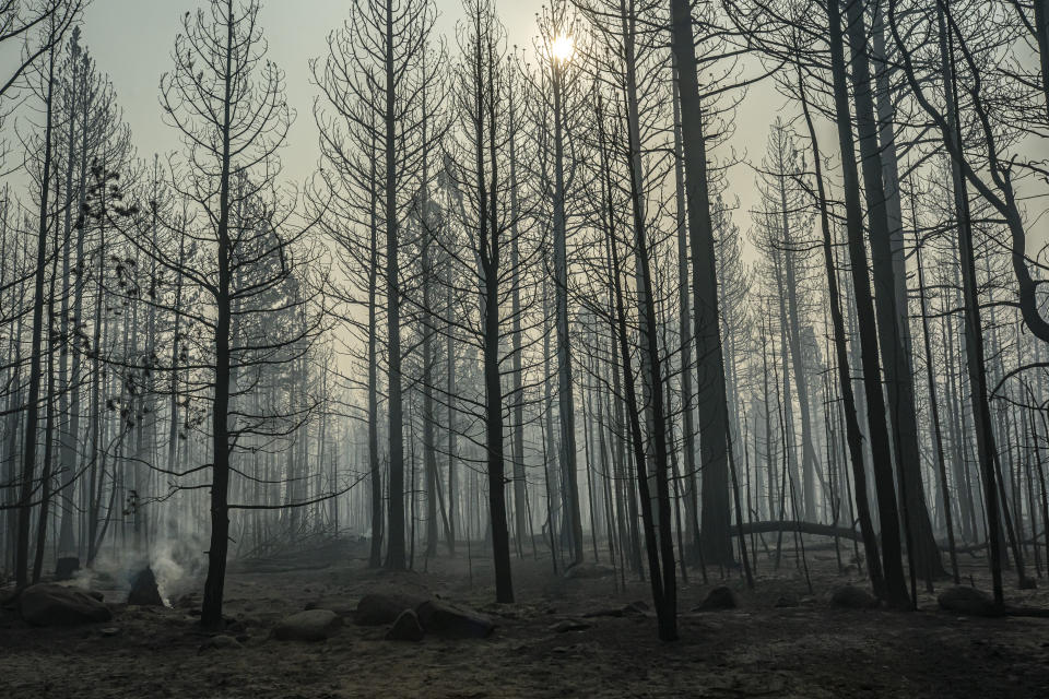 FILE - In this July 22, 2021, spot fires smolder near trees damaged by the Bootleg Fire in Paisley, Ore. Each year thousands of acres of dense timber are thinned near remote communities, all designed to slow the spread of massive wildfires. While most scientific studies find such forest management is a valuable tool, environmental advocates say data from recent gigantic wildfires support their long-running assertion that efforts to slow wildfires have instead accelerated their spread. (AP Photo/Nathan Howard, File )