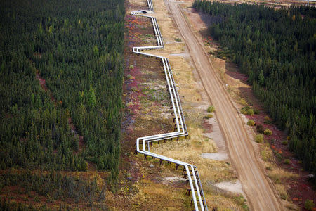 FILE PHOTO - Pipelines carrying steam and oil run at the Suncor Firebag in-situ oil sands operations near Fort McMurray, Alberta, Canada on September 17, 2014. REUTERS/Todd Korol/File Photo
