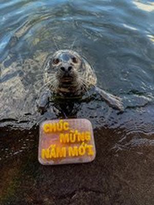 Seattle Aquarium celebrates Lunar New Year