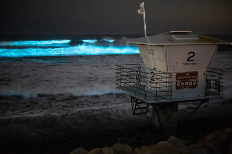 Bioluminescence at Torrey Pines Beach. (Photo: Mark Girardeau)