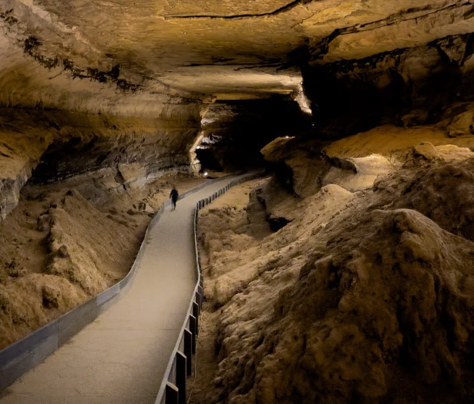 <p>Getty Images/Posnov</p><p>The U.S. National Park Service’s Mammoth Cave National Park runs a host of first-rate tours in this underrated, underground locale—about 30 miles outside of Bowling Green, KY. Ranging in time from just over an hour to six hours, and in distance from 400 yards to 5.5 miles, these wallet-friendly, mild-to-wild tours offer something for everyone. Mammoth Cave National Park is a two-level park comprised of roughly 52,830 acres of reclaimed hardwood forest and meandering riverways. Beneath this sylvan splendor hides the longest known cave system on the planet. </p><p>A favorite tour for adrenaline-seekers is the three-hour Violet City Lantern Tour, a three-hour trek by lantern light up steep hills and over historic dirt trails (from $12.50 per person). Head deep into the park’s actual innards on the Wild Cave Tour, a physically grueling all-day outing that’ll send you crawling through extremely tight spaces and challenging inclines (from $33 per person). Prepare to emerge from spelunking with plenty of knowledge about the cave’s history and geology—along with a new appreciation for modern technology.</p><p>[From $4 per person; <a href="https://www.nps.gov/maca/planyourvisit/fees.htm" rel="nofollow noopener" target="_blank" data-ylk="slk:nps.gov;elm:context_link;itc:0;sec:content-canvas" class="link ">nps.gov</a>] </p>