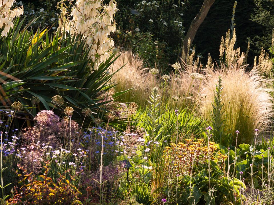 Mediterranean Garden Ideas 11 Planting Landscaping And Design