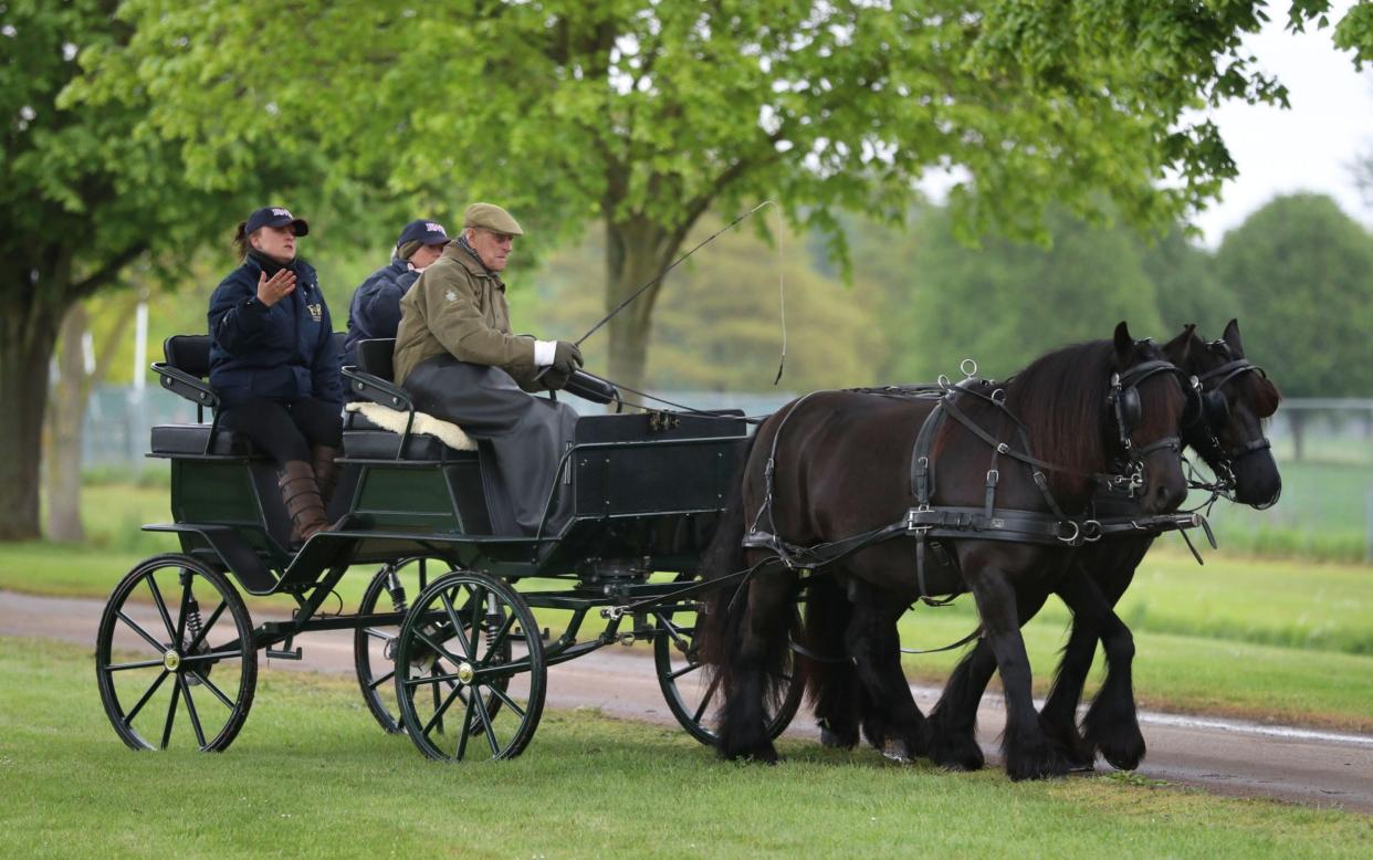 The Duke's two Fell ponies, Balmoral Nevis and Notlaw Storm, and the carriage built to his specifications eight years ago, will be present in the Quadrangle of Windsor Castle during the procession - Andrew Matthews/PA